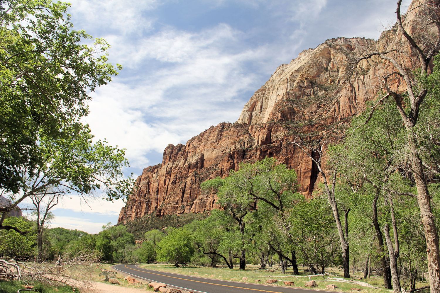 The Grotto Trail 